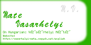 mate vasarhelyi business card